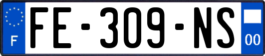 FE-309-NS