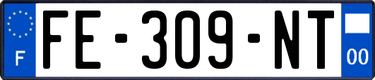 FE-309-NT