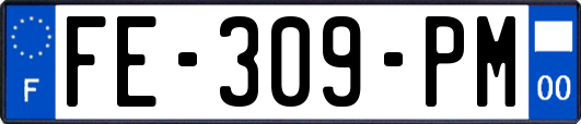 FE-309-PM