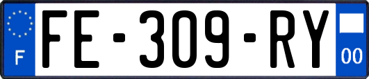 FE-309-RY