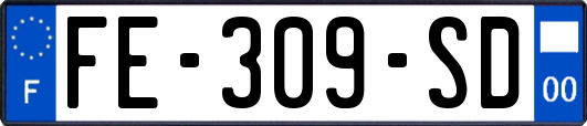 FE-309-SD