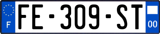 FE-309-ST