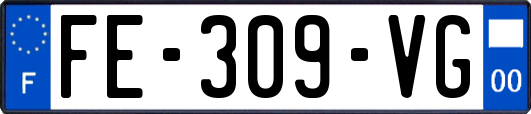 FE-309-VG