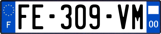 FE-309-VM