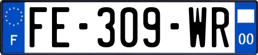 FE-309-WR