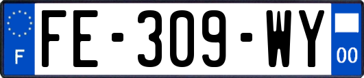 FE-309-WY
