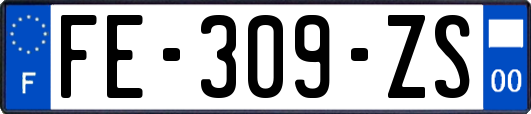 FE-309-ZS