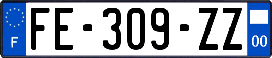 FE-309-ZZ