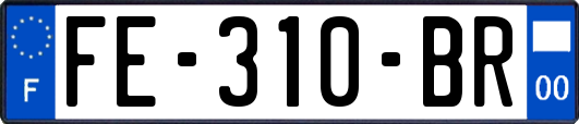 FE-310-BR