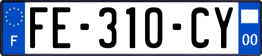 FE-310-CY