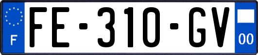 FE-310-GV