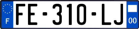 FE-310-LJ