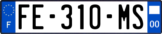 FE-310-MS