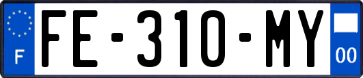 FE-310-MY