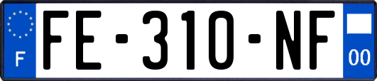 FE-310-NF