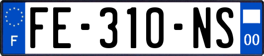 FE-310-NS