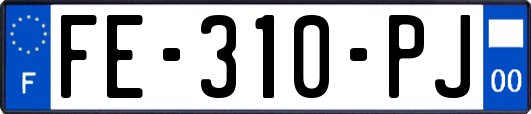 FE-310-PJ