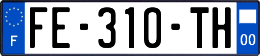 FE-310-TH