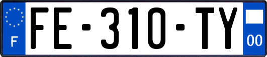 FE-310-TY
