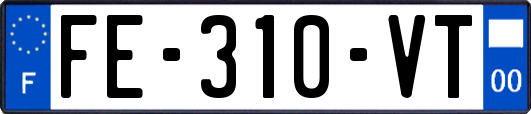 FE-310-VT