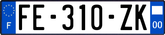 FE-310-ZK