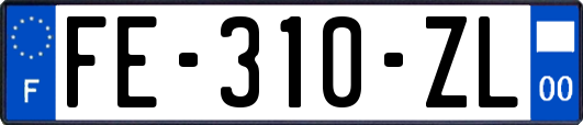 FE-310-ZL