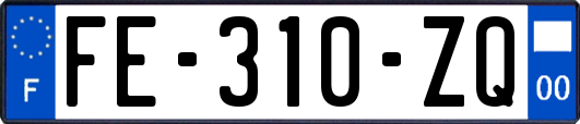 FE-310-ZQ