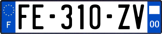 FE-310-ZV