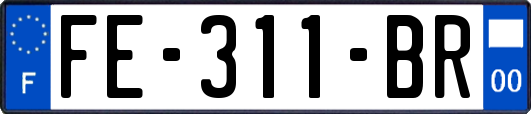 FE-311-BR