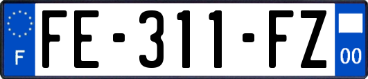 FE-311-FZ
