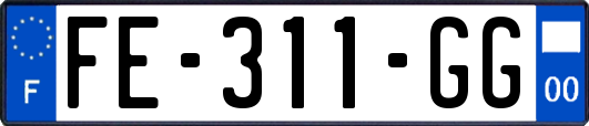 FE-311-GG
