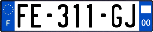FE-311-GJ