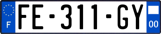 FE-311-GY