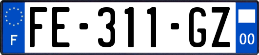 FE-311-GZ