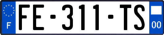 FE-311-TS