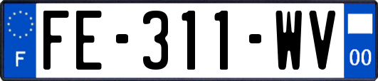 FE-311-WV