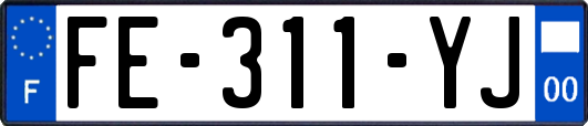 FE-311-YJ