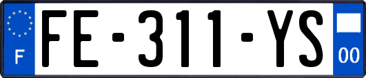 FE-311-YS