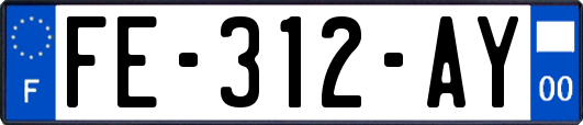 FE-312-AY