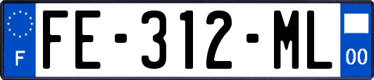 FE-312-ML