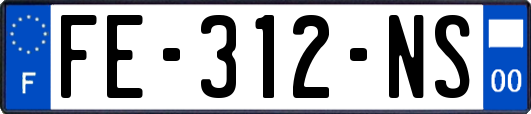 FE-312-NS