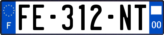 FE-312-NT