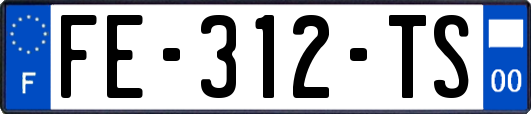 FE-312-TS