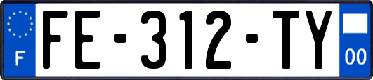 FE-312-TY