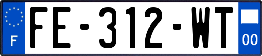 FE-312-WT