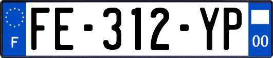 FE-312-YP