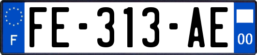 FE-313-AE