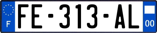 FE-313-AL