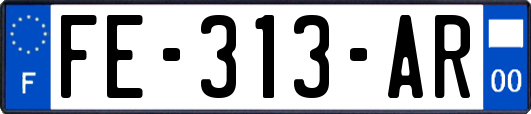 FE-313-AR