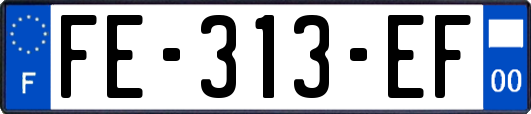 FE-313-EF